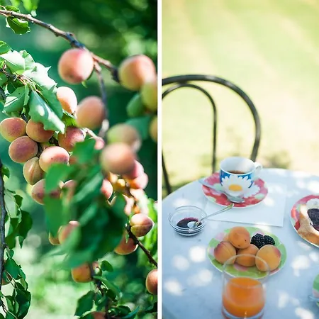 Agriturismo Il Mondo Country house *