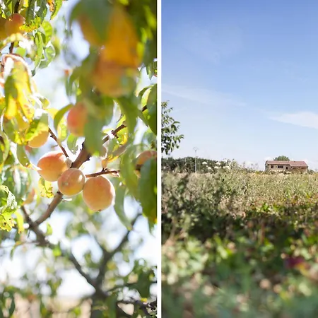 Agriturismo Il Mondo Country house Parma