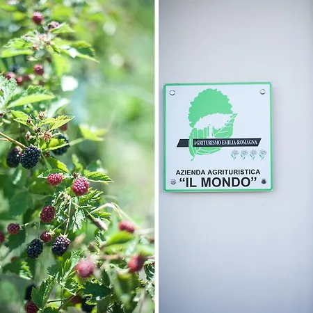 Country house Agriturismo Il Mondo